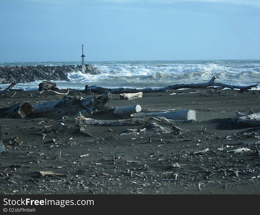 A windy day on a west coast, volcanic New Zealand beach, where the dead timber collects. A windy day on a west coast, volcanic New Zealand beach, where the dead timber collects