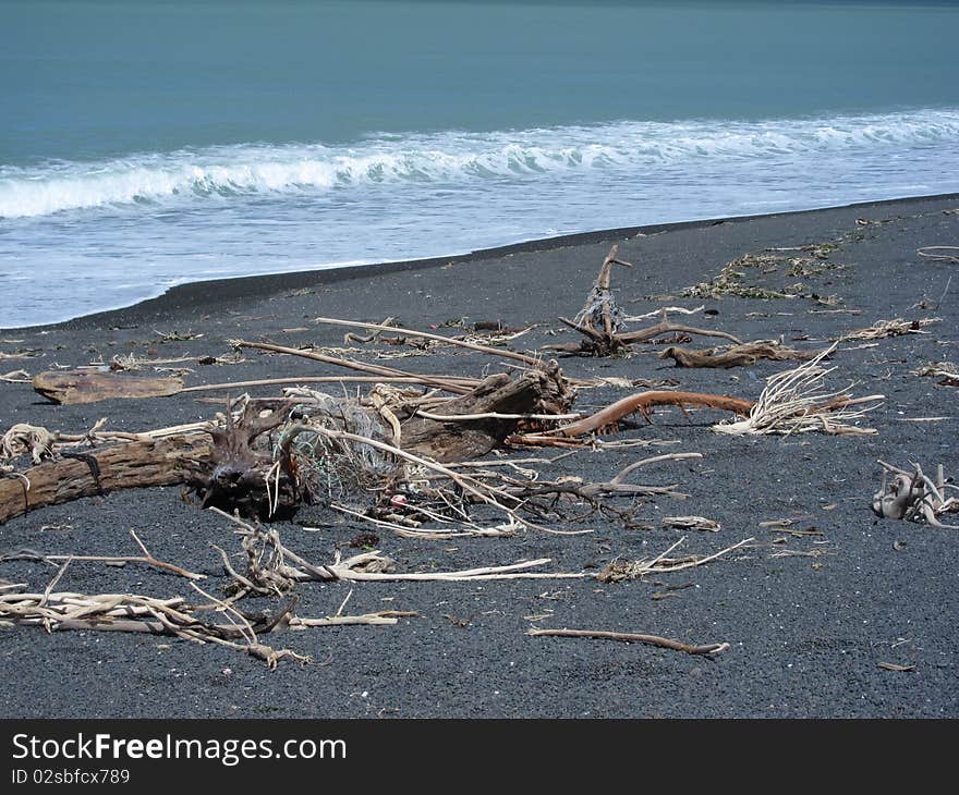 A windy day on a west coast, volcanic New Zealand beach, where the dead timber collects. A windy day on a west coast, volcanic New Zealand beach, where the dead timber collects