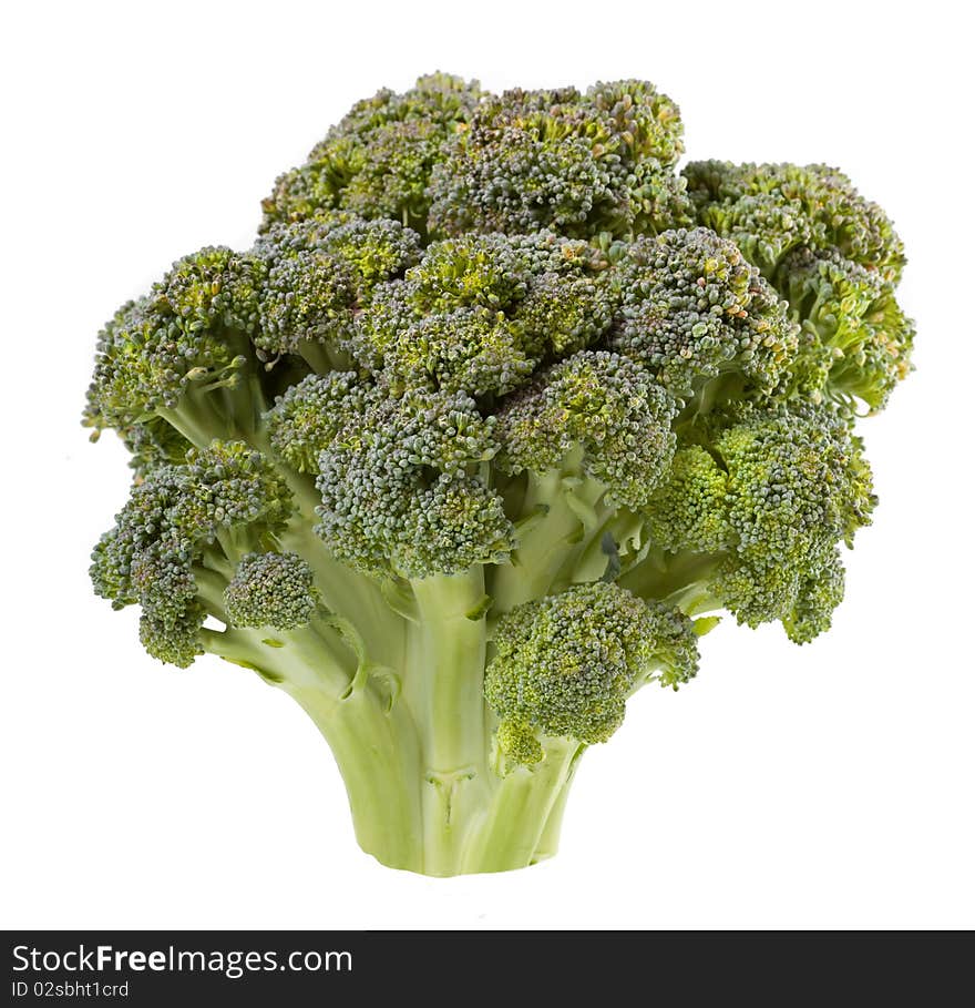 Broccoli is isolated on a white background. Broccoli is isolated on a white background