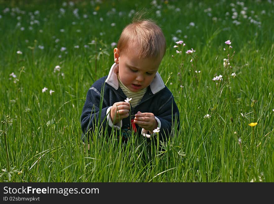 Boy And Cuckoo Flower