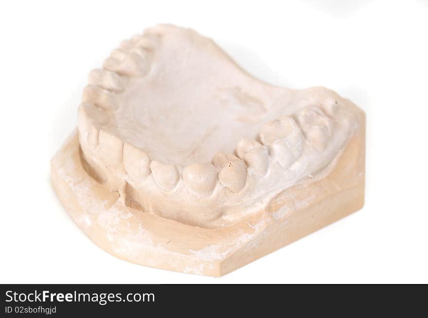 Gypsum teeth model