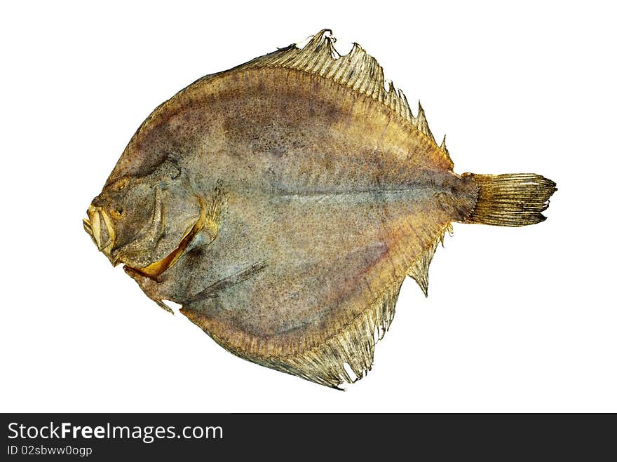 Salted turbot flatfish  isolated on the white background