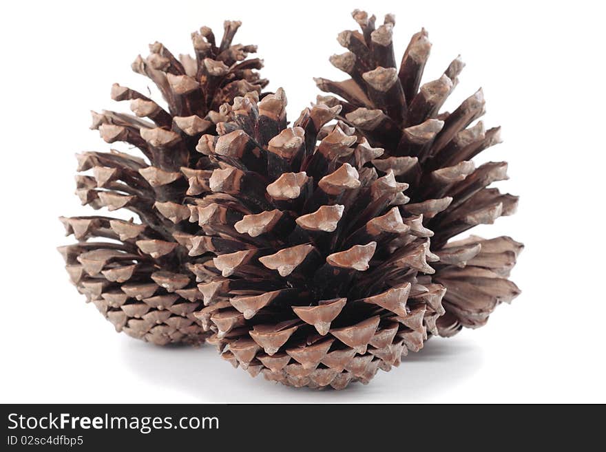 Pinecones Christmas decorations over white