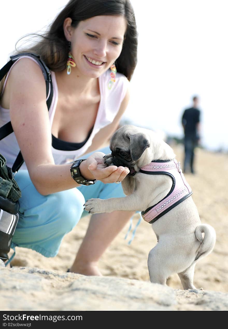 Woman feeding her dog on beach. Woman feeding her dog on beach