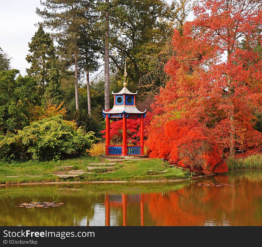 Autumn in a Japanese style Garden