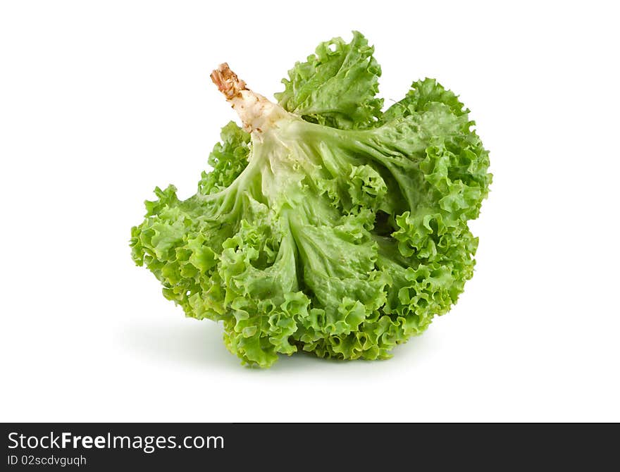 Fresh green lettuce isolated on a white background. Fresh green lettuce isolated on a white background