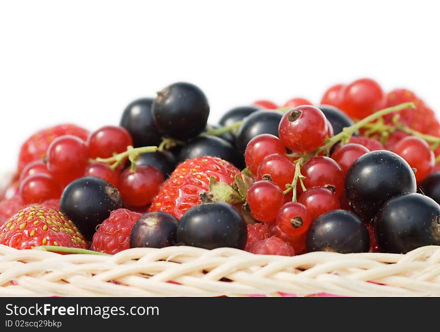 Ripe berries in a basket