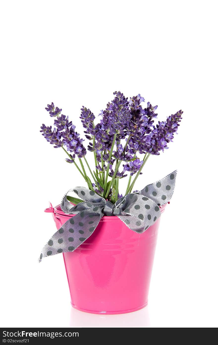 Purple Lavender Bouquet