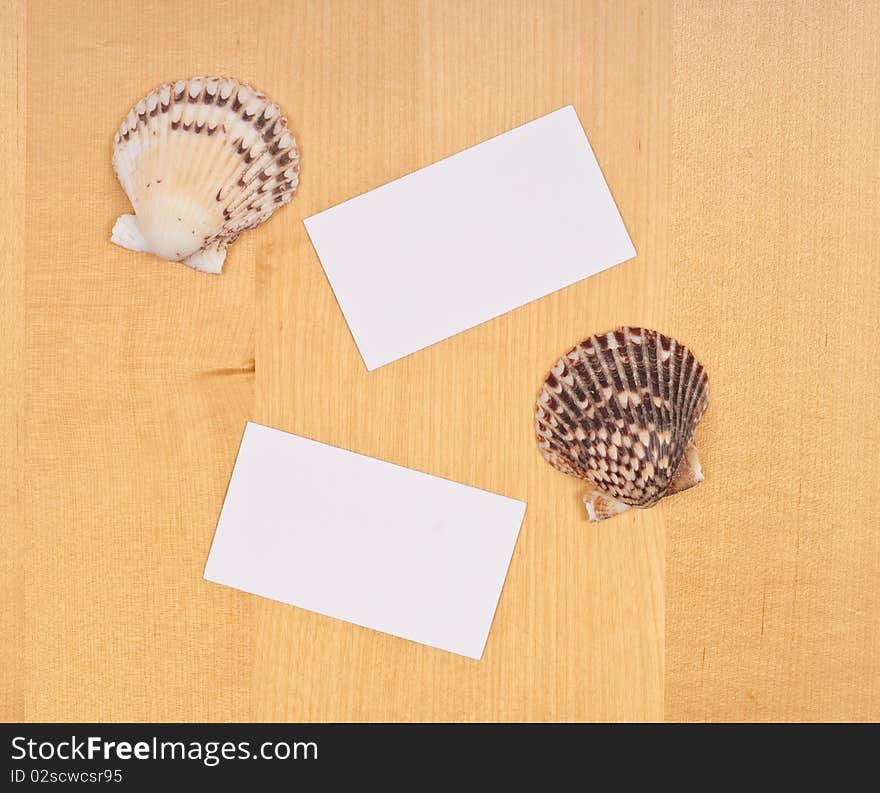 Two Blank Business Cards with Shells