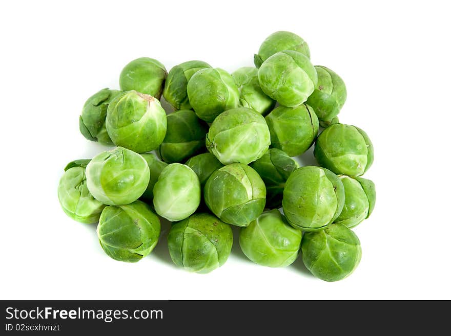 Many healthy sprouts