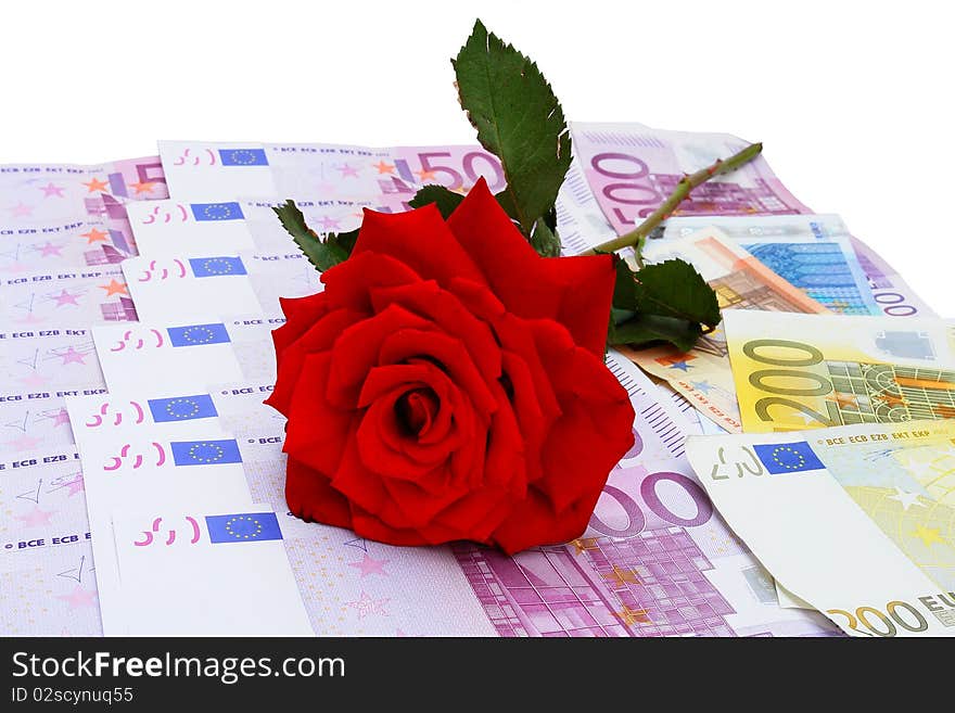 Rose And The Euro Money