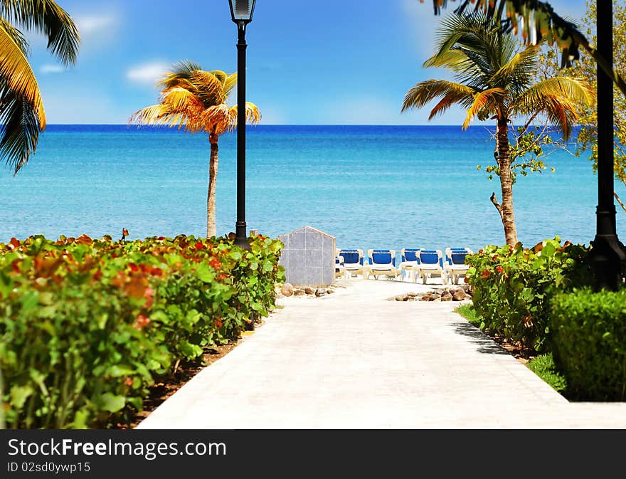 Luxury resort with ocean, chairs, palm trees, azure water and blue sky