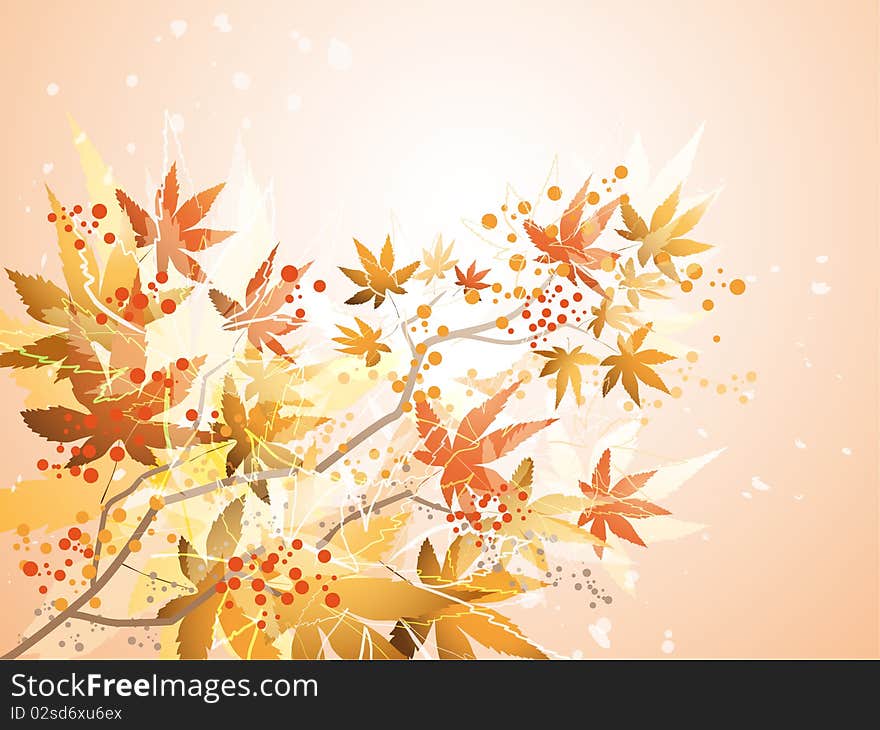 Branch with colorful autumn leaves.