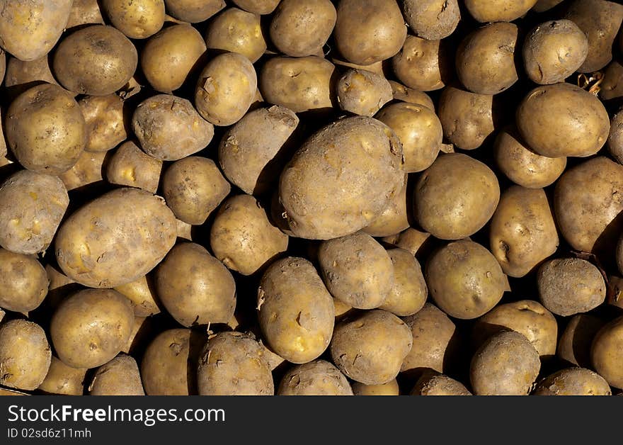 Potatoes