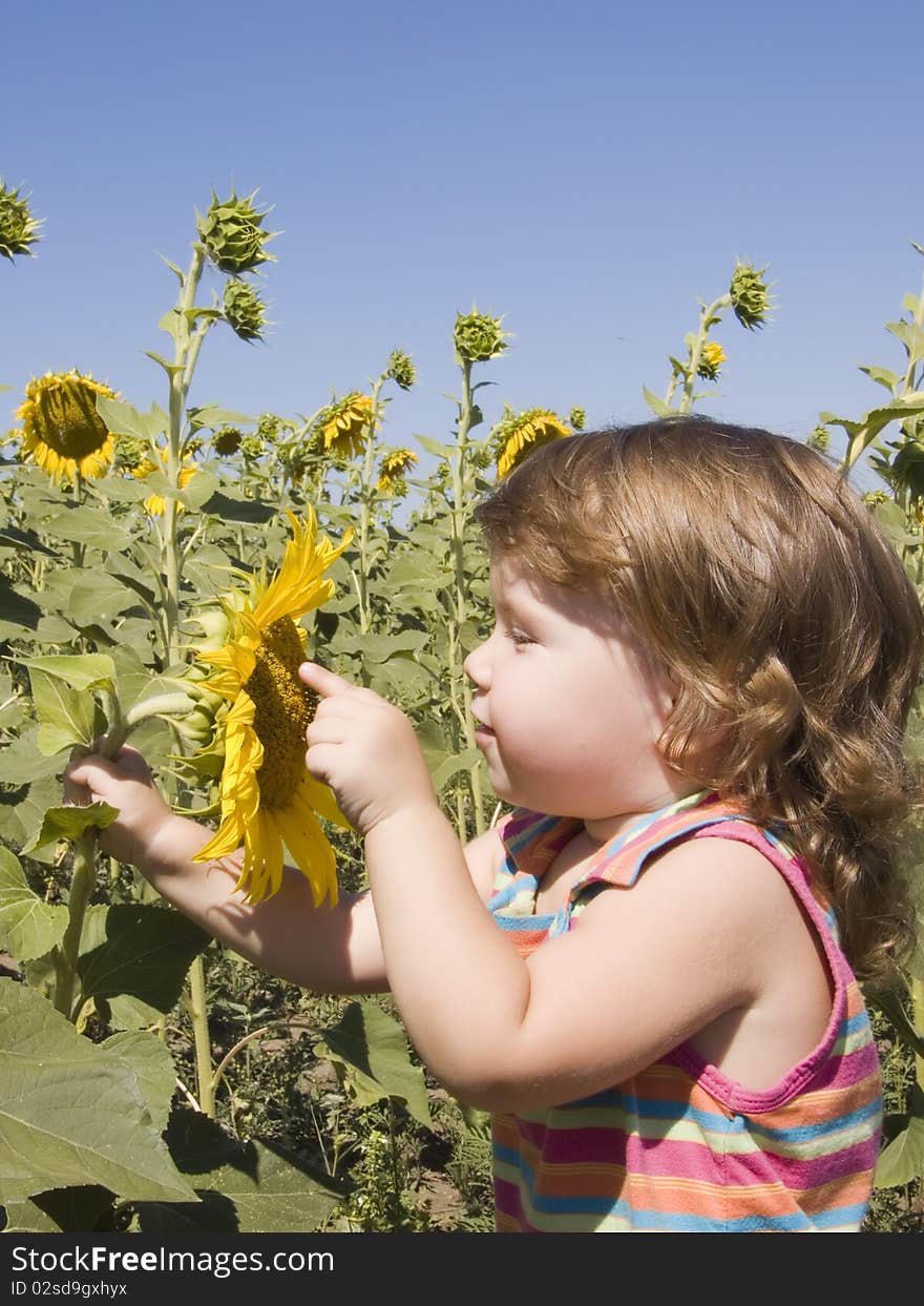 Child and sunflower