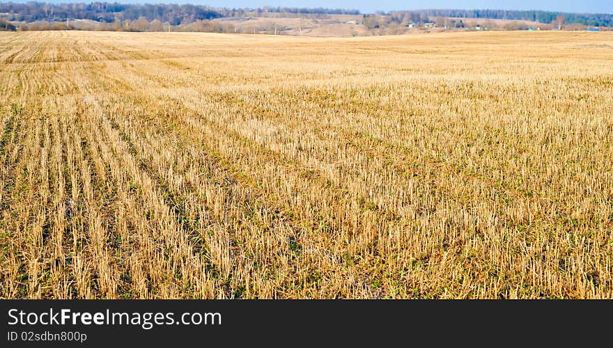 It is a great field with harvested wheat