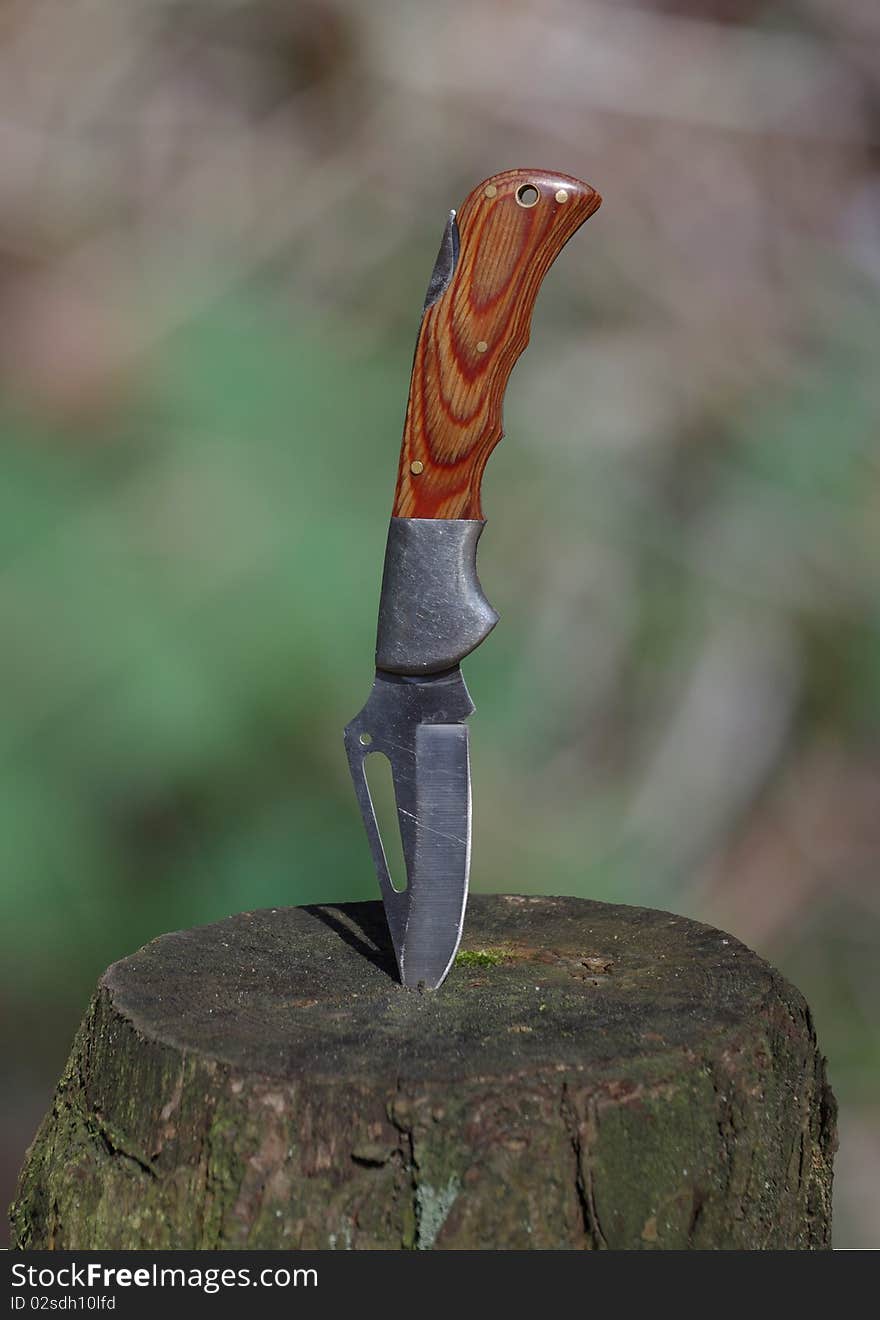 Tourist knife sticking out in a tree