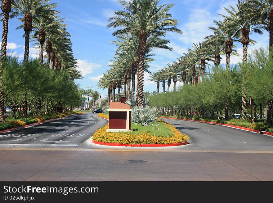 Nevada Sky and Palm Trees Landscape. Nevada Sky and Palm Trees Landscape.