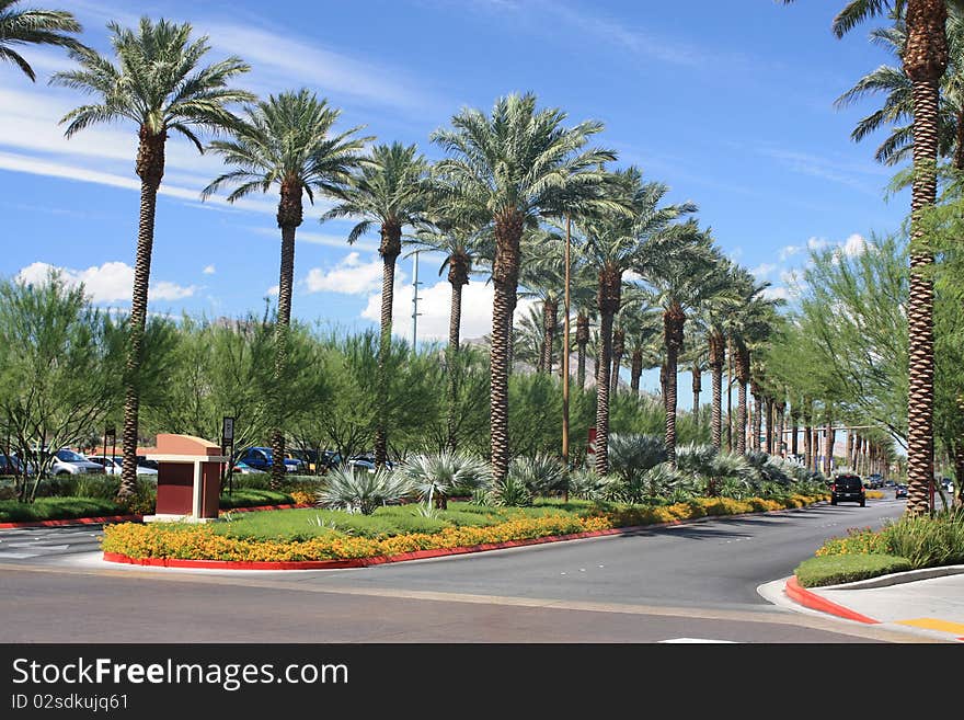 Nevada Sky and Palm Trees Landscape. Nevada Sky and Palm Trees Landscape.