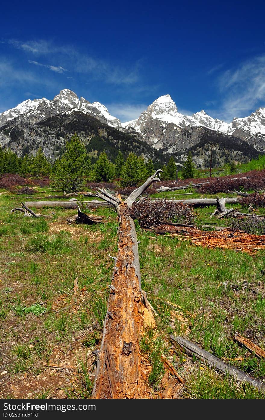 Grand Tetons from a trail to Bradley Lake. Grand Teton National Park, Wyoming. Grand Tetons from a trail to Bradley Lake. Grand Teton National Park, Wyoming