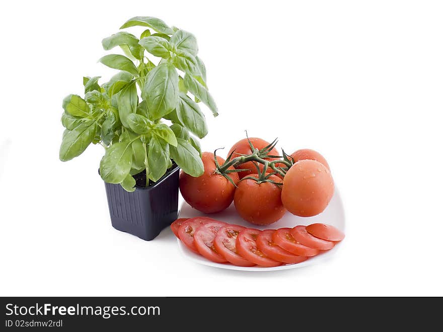 Fresh basil and plate of tomatos