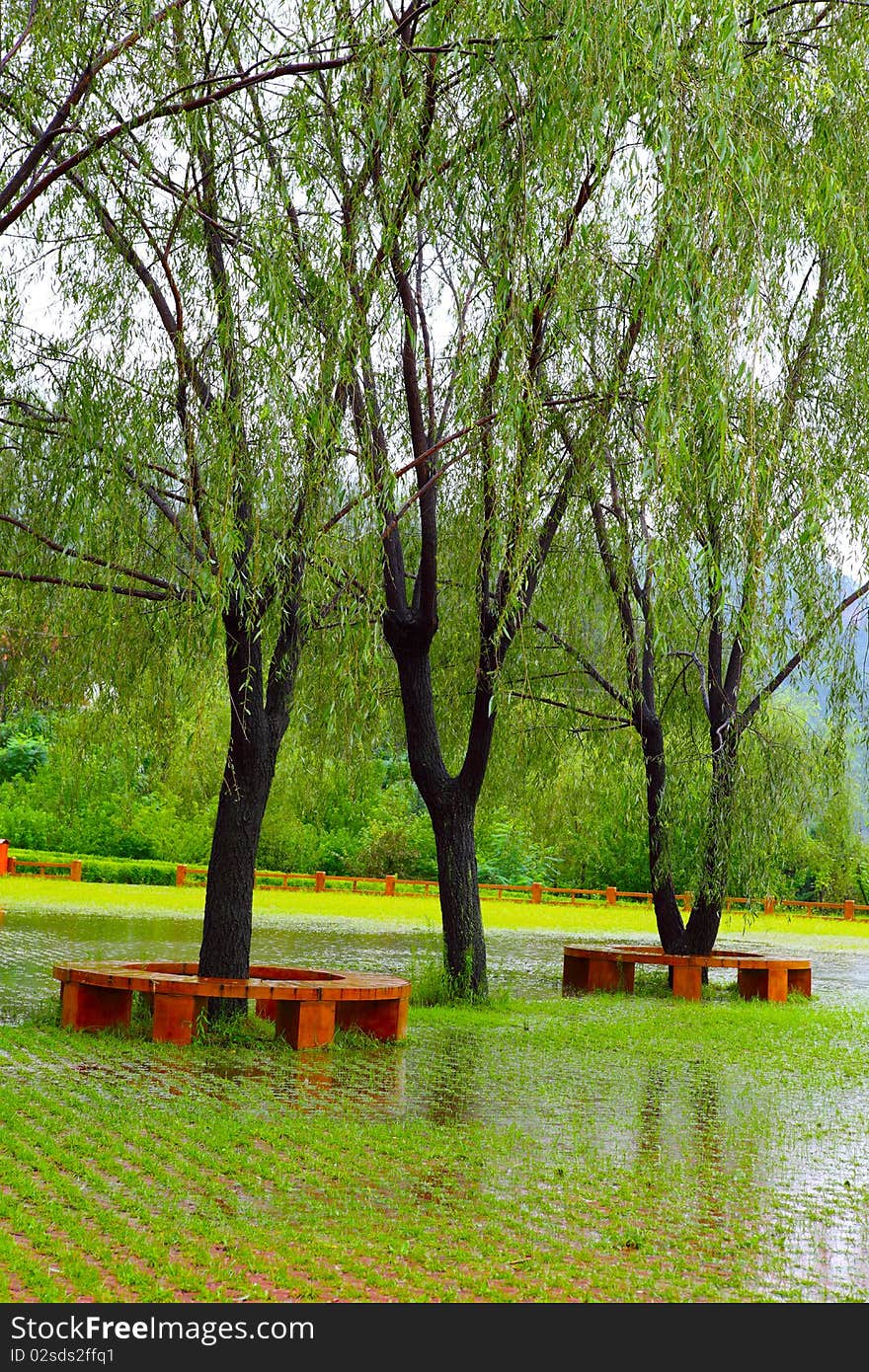 Park in the rain