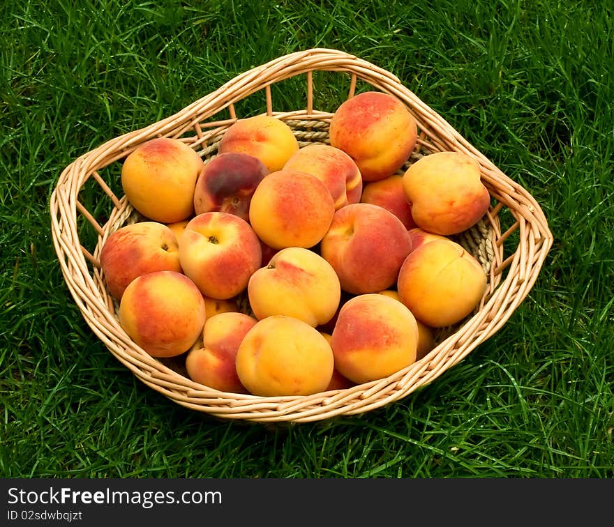 Ripe peaches in the basket on the grass