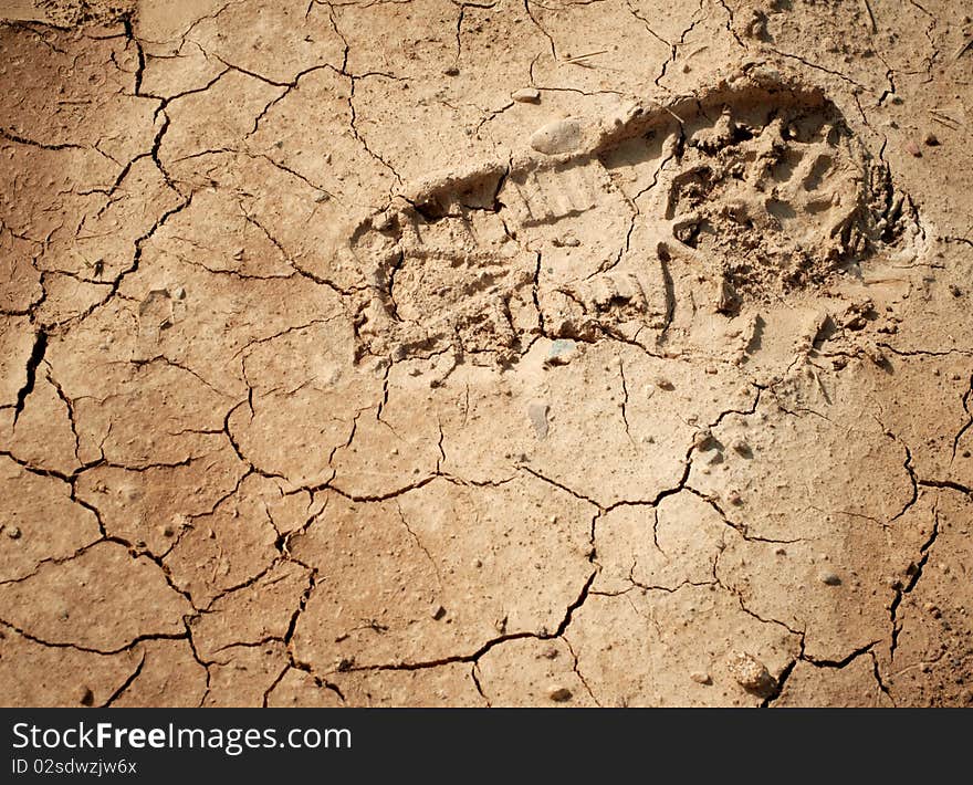 Imprint of the shoe on the dried and cracked mud.