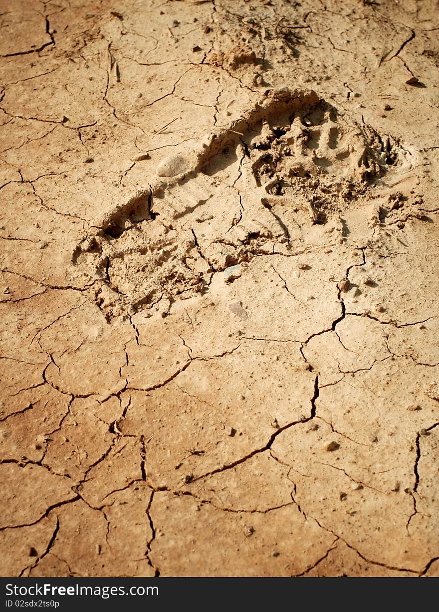 Imprint of the shoe on the dried and cracked mud. Imprint of the shoe on the dried and cracked mud.