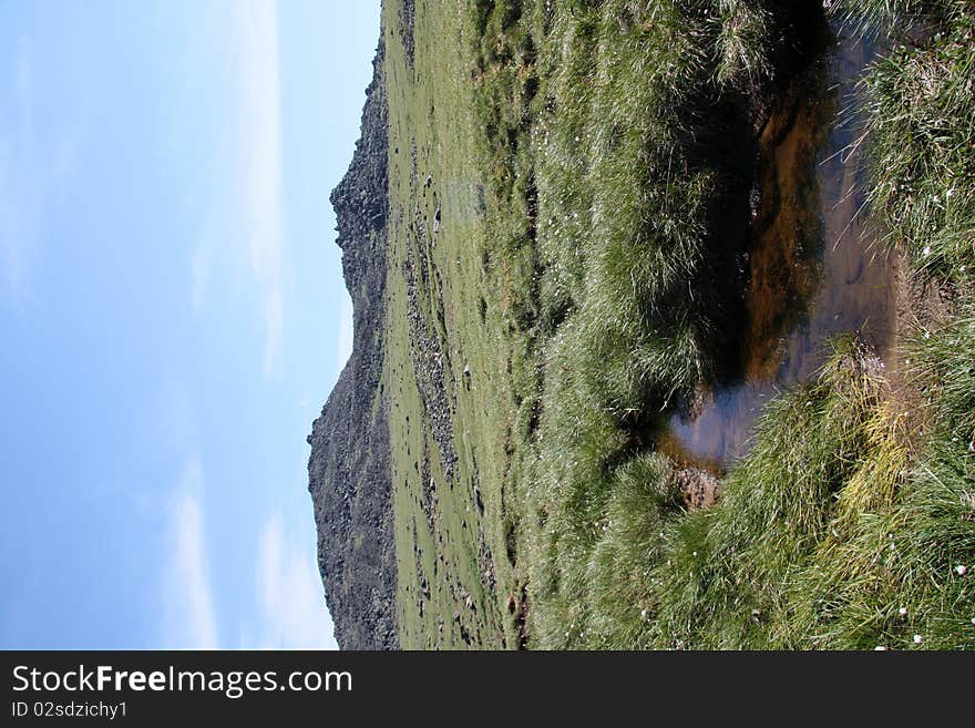 Mountain stream