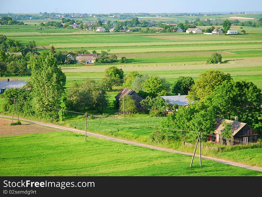 Summer day, agricultural landscape, green fields and meadow.