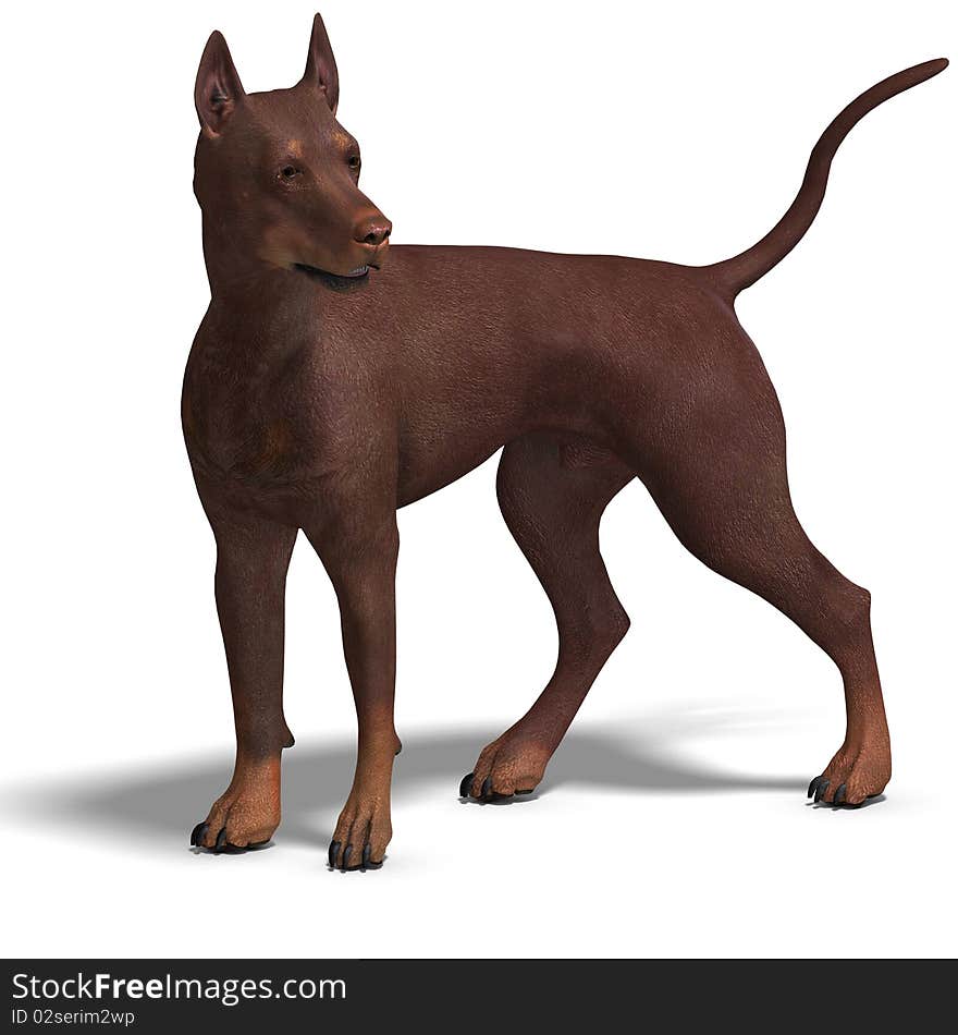 Doberman Dog. 3D rendering with clipping path