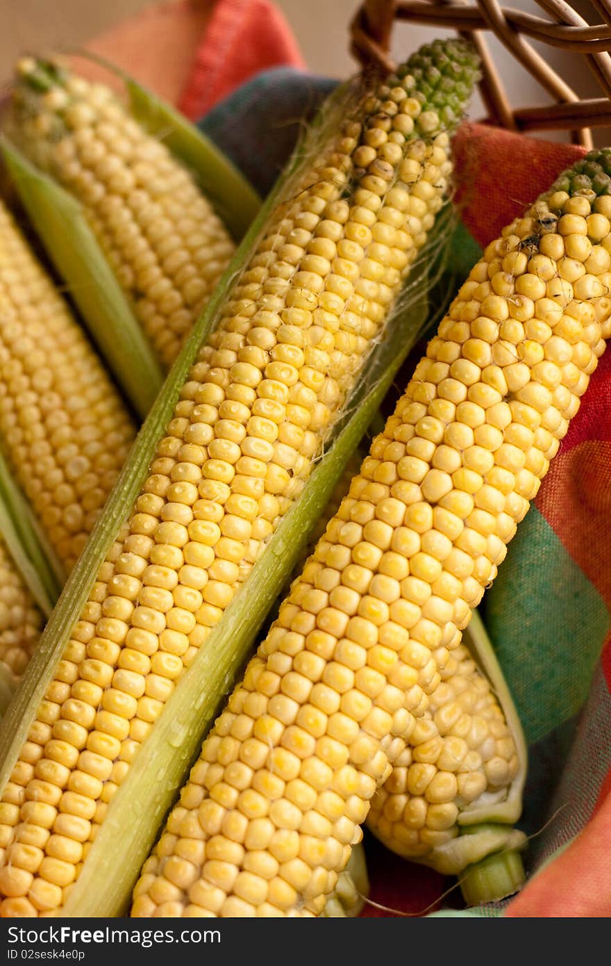 Raw corn on the cob in the basket