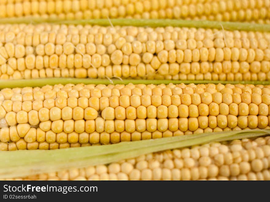 Raw corn on the cob