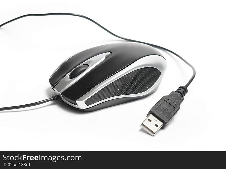 Computer Mouse Isolated