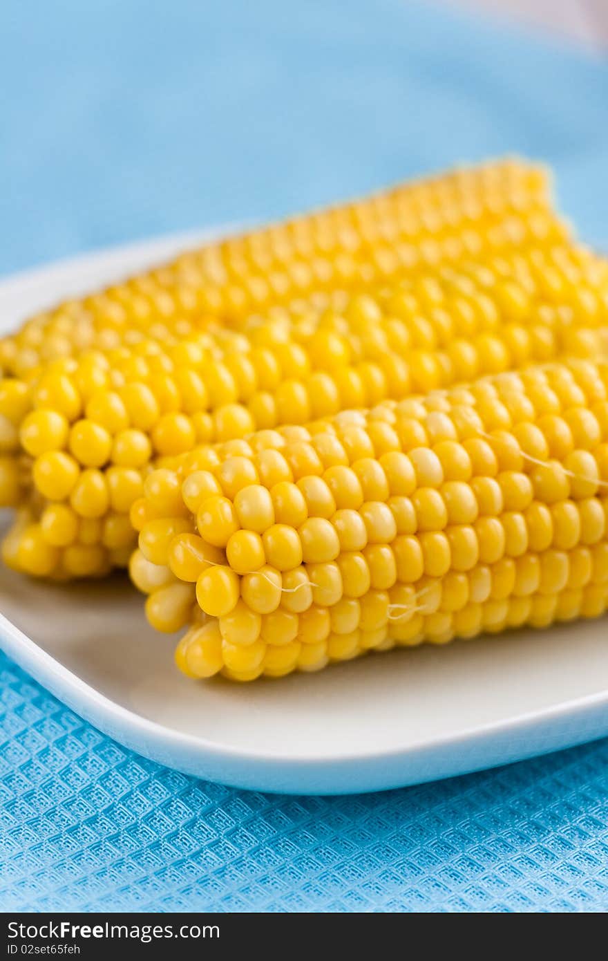 Cooked corn cobs