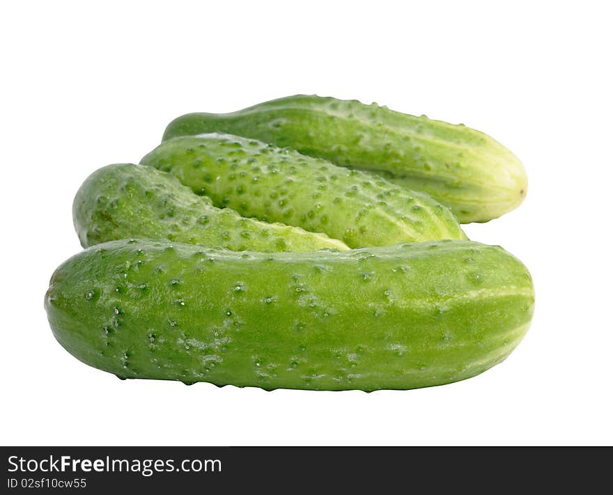 Cucumber