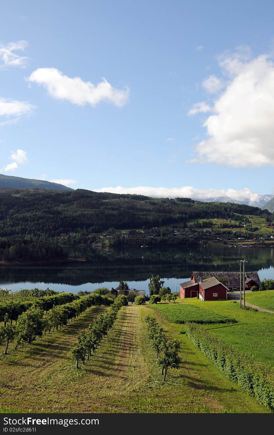 Farmland around Hardangerfjord, Norway