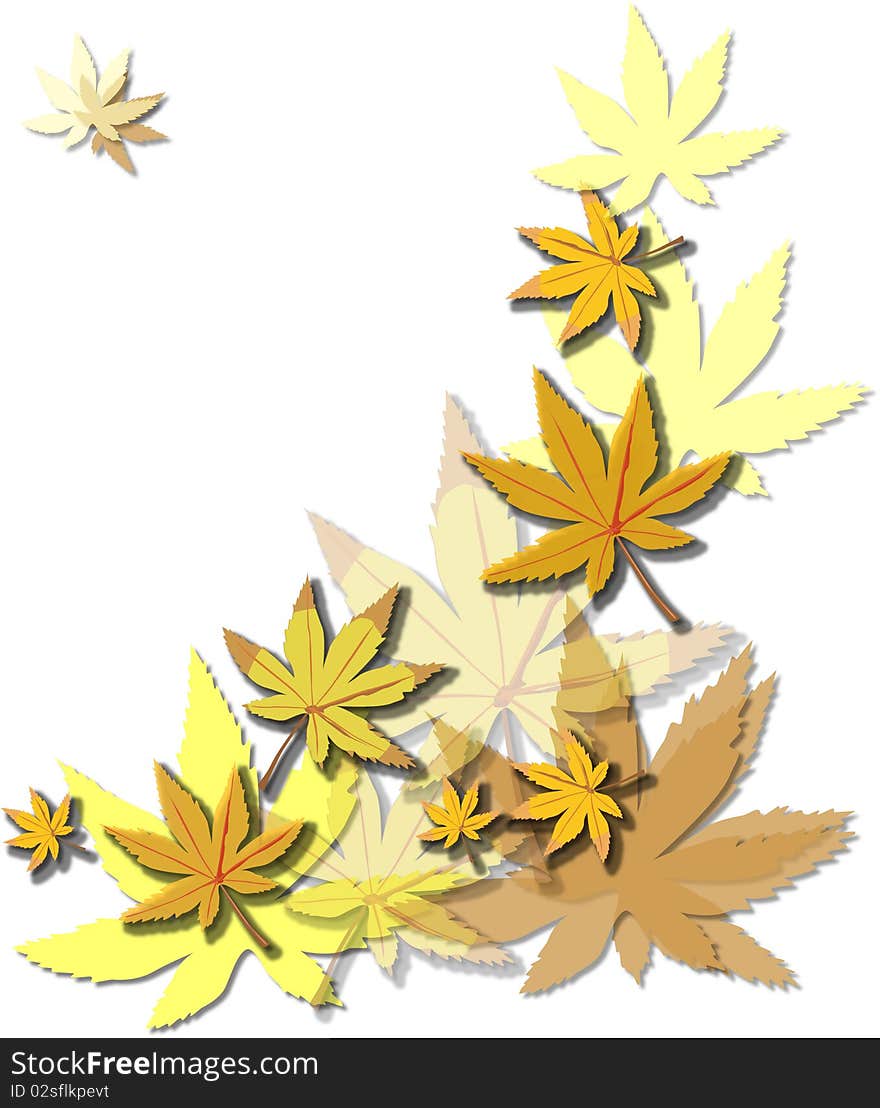 Gold Beautiful  autumn leaves on brightly white background