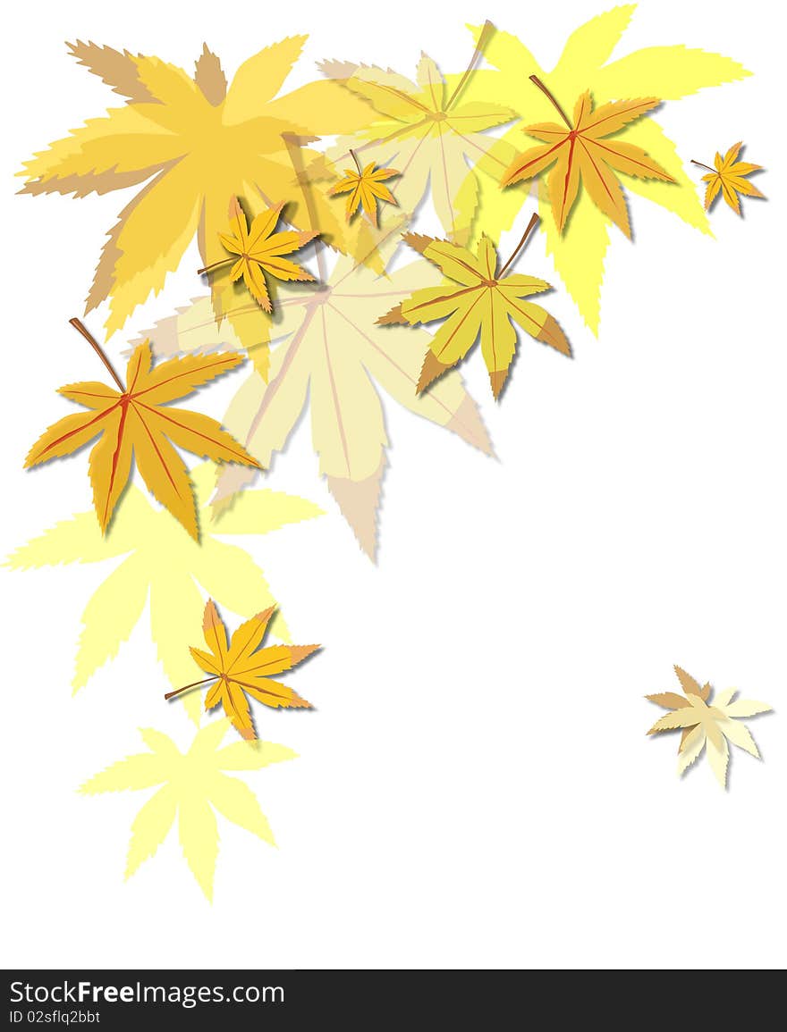 Gold Beautiful autumn leaves on brightly white background