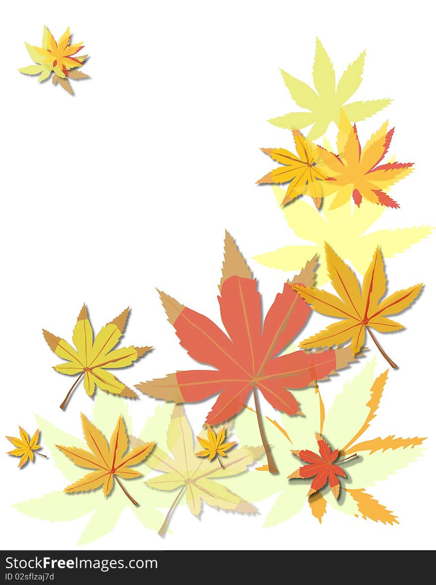 Autumn leaves