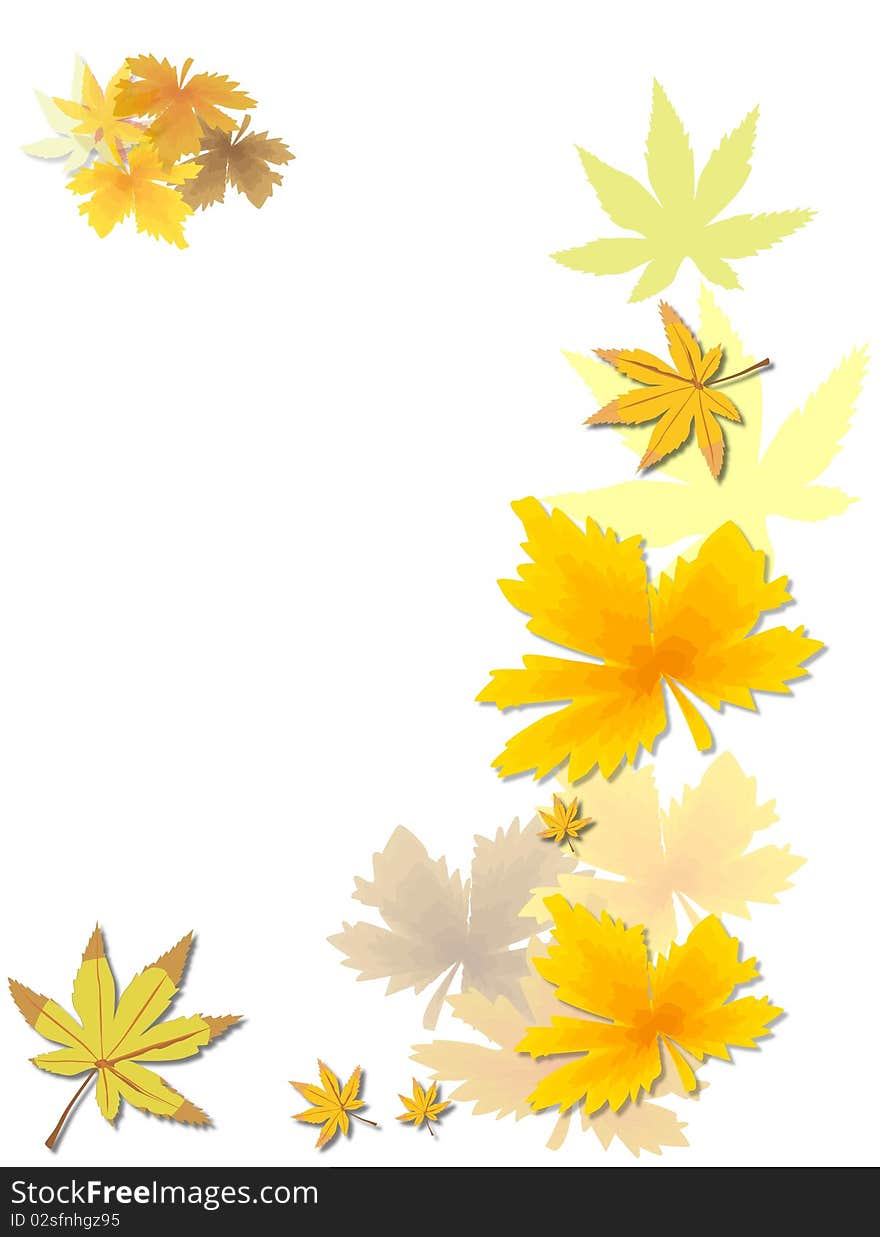 Gold Beautiful autumn leaves on brightly white background