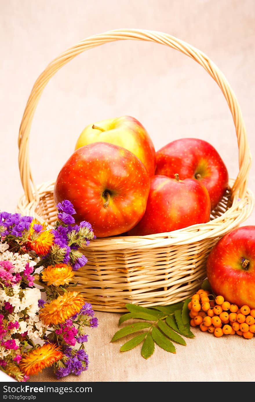 Apples in basket, berries and wildflowers. Apples in basket, berries and wildflowers