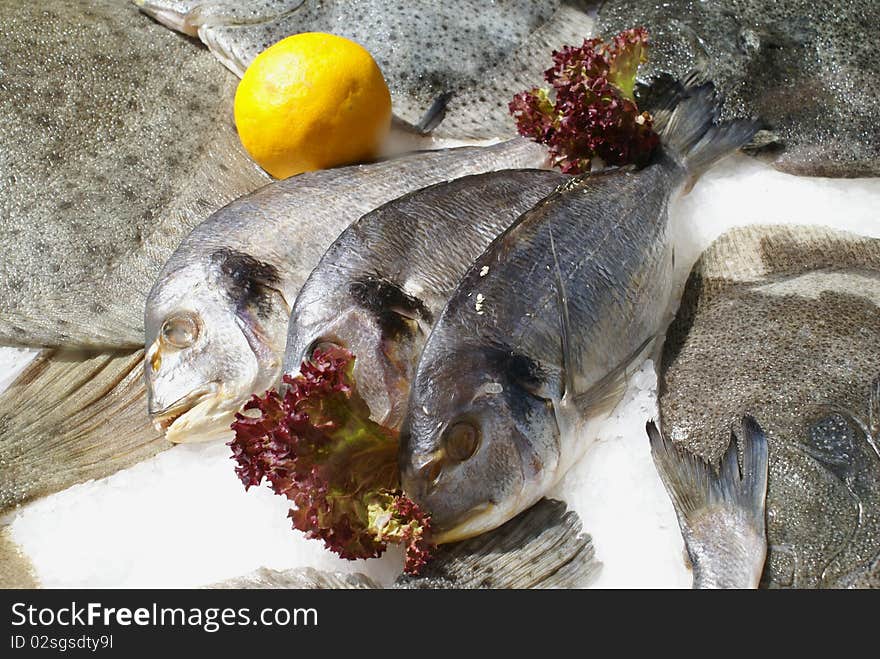 Refrigerated sea water fish for cooking. Refrigerated sea water fish for cooking.