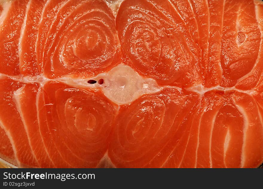 Fresh salmon fillet on a white background. Fresh salmon fillet on a white background