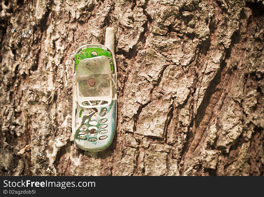 Broken mobile phone nailed to a tree with a nail