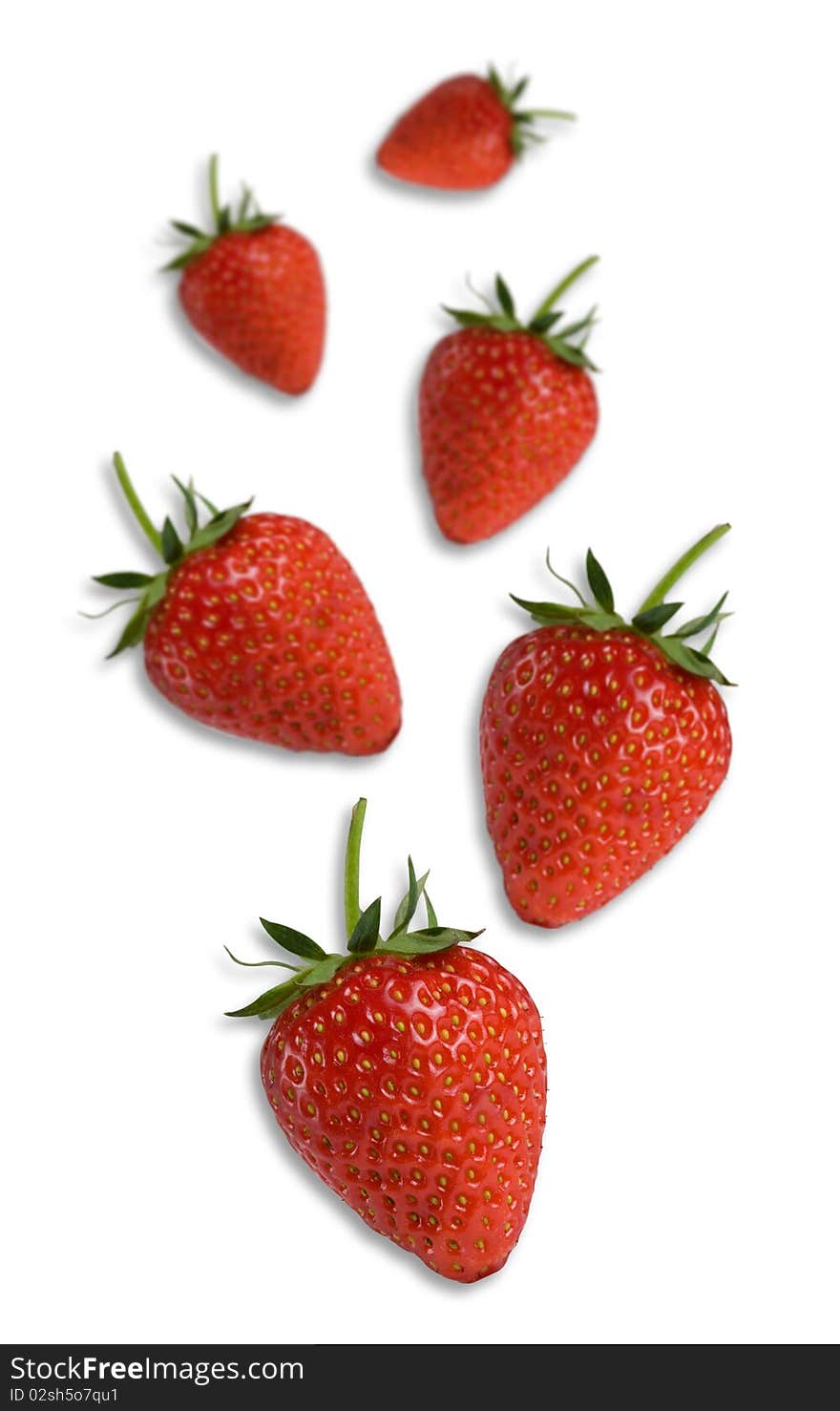 Fresh strawberries on a white background. Fresh strawberries on a white background