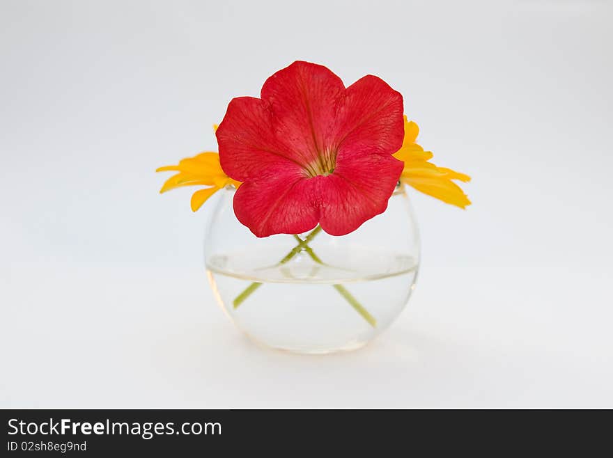 Single yellow and red flowers in a miniature glass bowl, abstract macro composition isolated on white. Single yellow and red flowers in a miniature glass bowl, abstract macro composition isolated on white