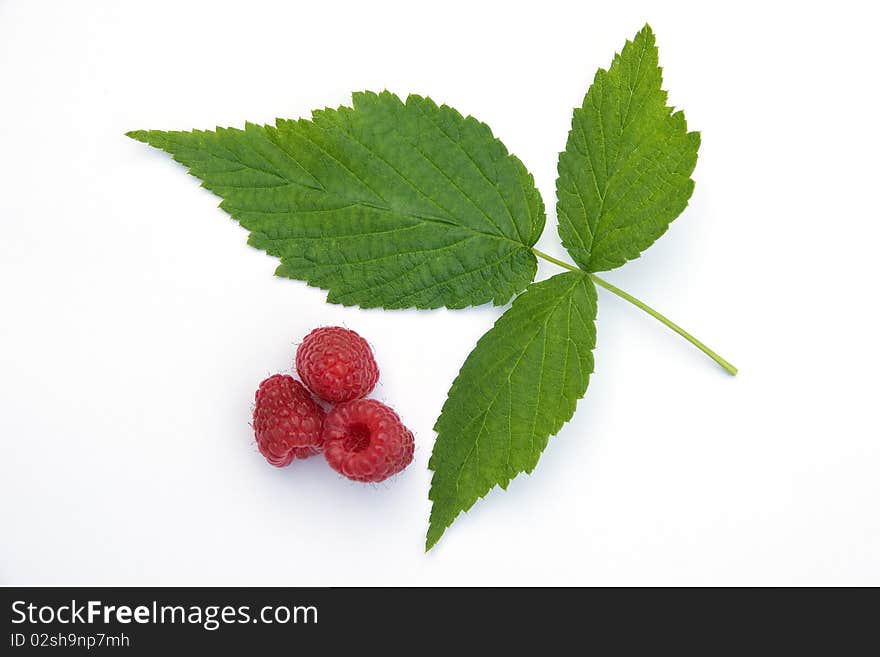 Raspberry- leaf and berries