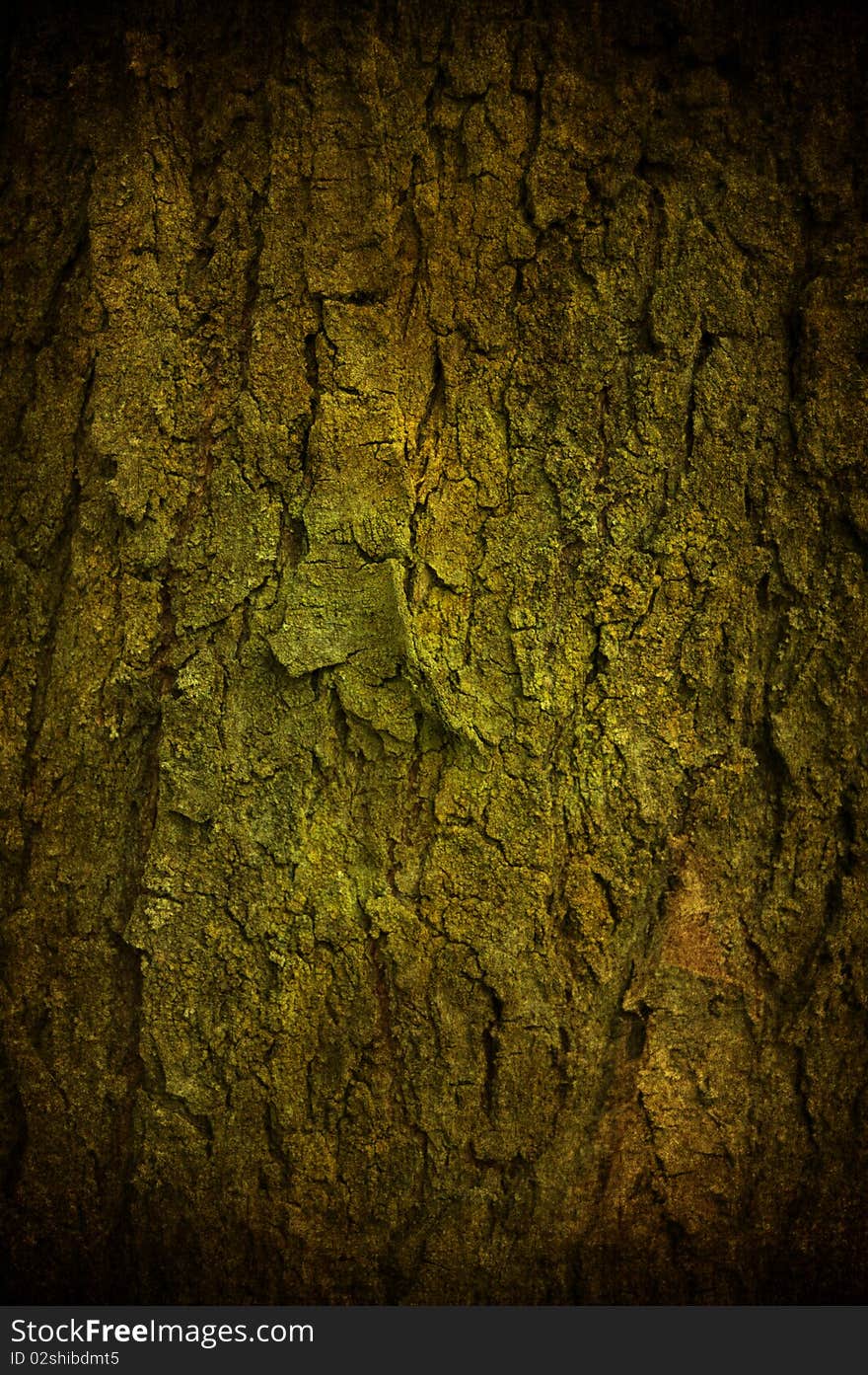 Grunge Bark